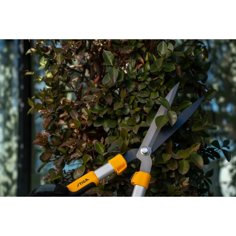 HedgeShears_2H1110001ST1_amb01_web